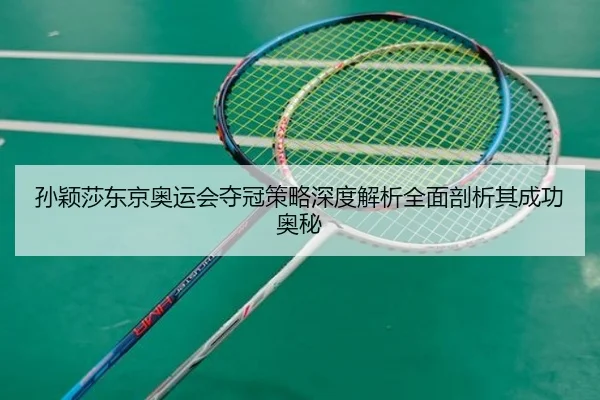 孙颖莎东京奥运会夺冠策略深度解析全面剖析其成功奥秘